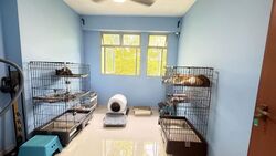 Blk 469B Meadow Spring @ Yishun (Yishun), HDB 4 Rooms #503846601